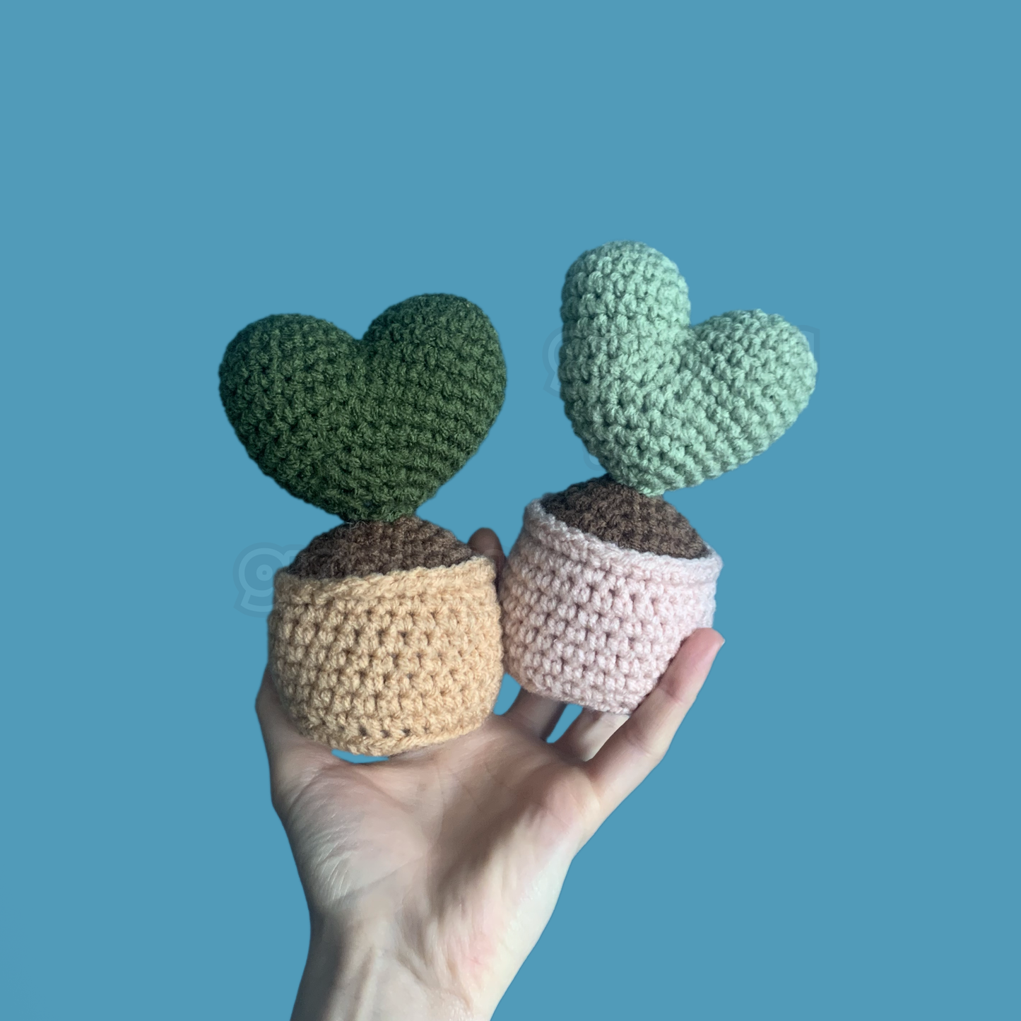 Heart Cacti